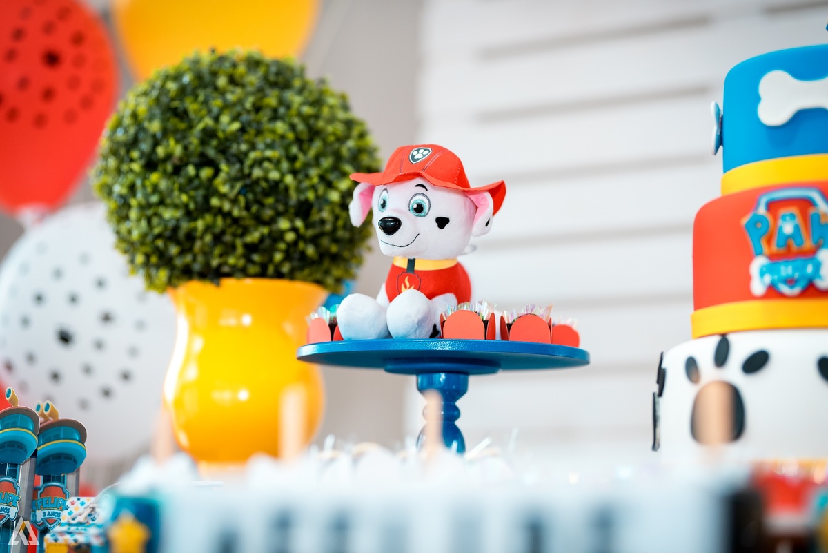 Aniversário Infantil Patrulha Canina Alex Jardim Fotografia Fotógrafo Resende Itatiaia Penedo Porto Real Quatis Barra Mansa Volta Redonda 