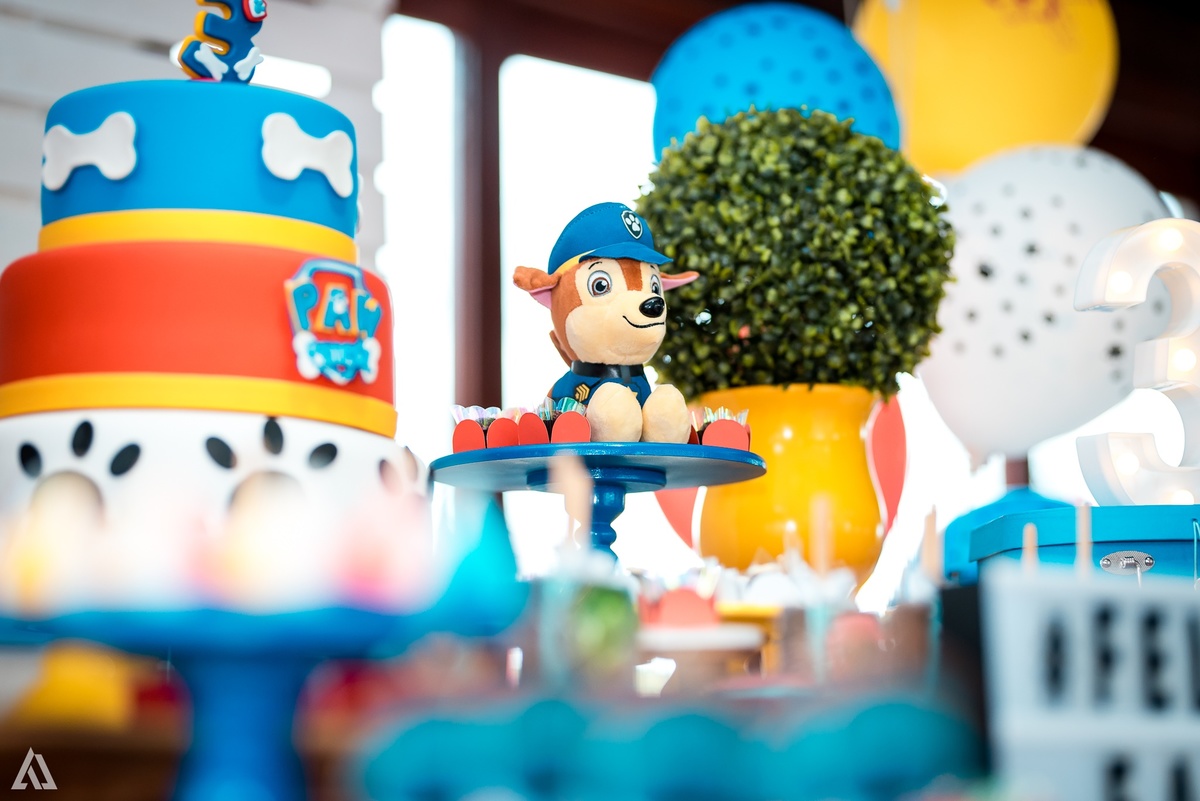 Aniversário Infantil Patrulha Canina Alex Jardim Fotografia Fotógrafo Resende Itatiaia Penedo Porto Real Quatis Barra Mansa Volta Redonda 