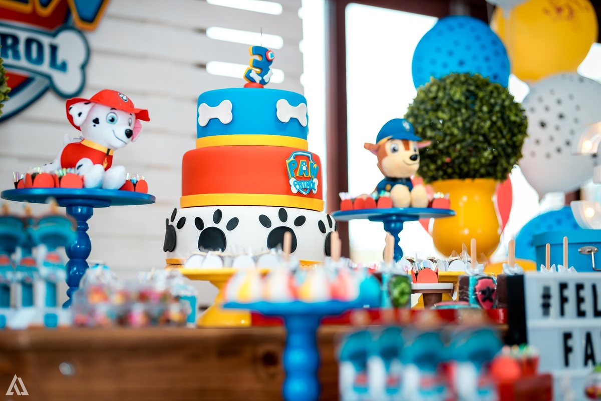 Aniversário Infantil Patrulha Canina Alex Jardim Fotografia Fotógrafo Resende Itatiaia Penedo Porto Real Quatis Barra Mansa Volta Redonda 