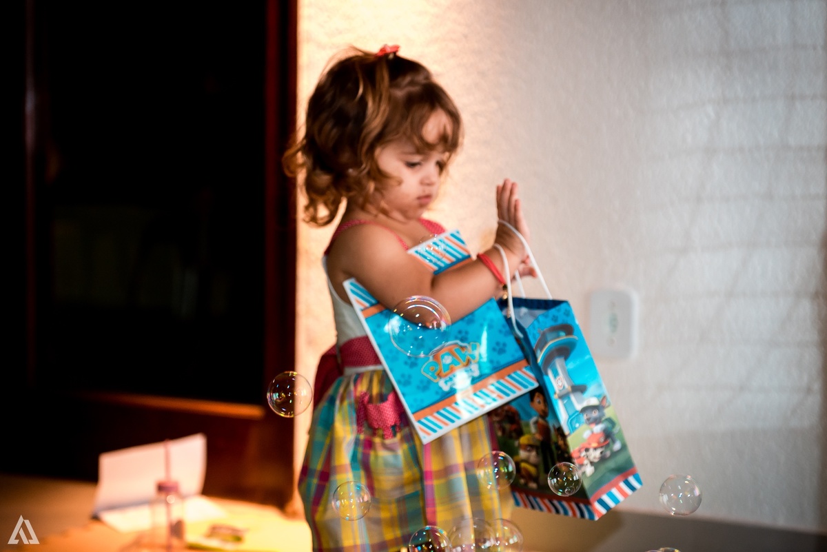 Aniversário Infantil Patrulha Canina Alex Jardim Fotografia Fotógrafo Resende Itatiaia Penedo Porto Real Quatis Barra Mansa Volta Redonda 