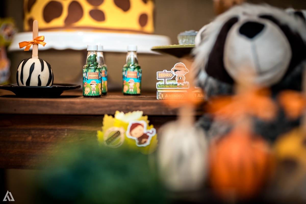 Aniversário Infantil Safari Alex Jardim Fotografia Fotógrafo Resende Itatiaia Penedo Porto Real Quatis Barra Mansa Volta Redonda Espaço Montana