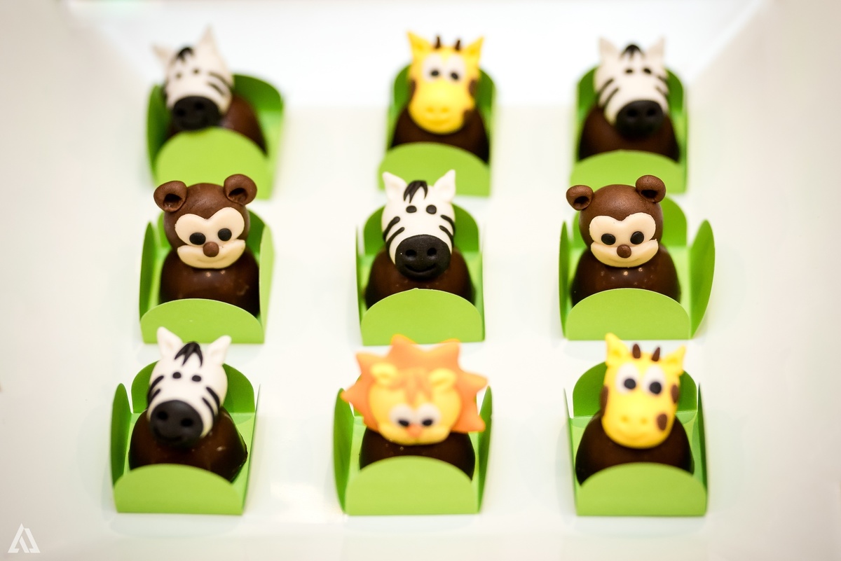 Aniversário Infantil Safari Alex Jardim Fotografia Fotógrafo Resende Itatiaia Penedo Porto Real Quatis Barra Mansa Volta Redonda Espaço Montana