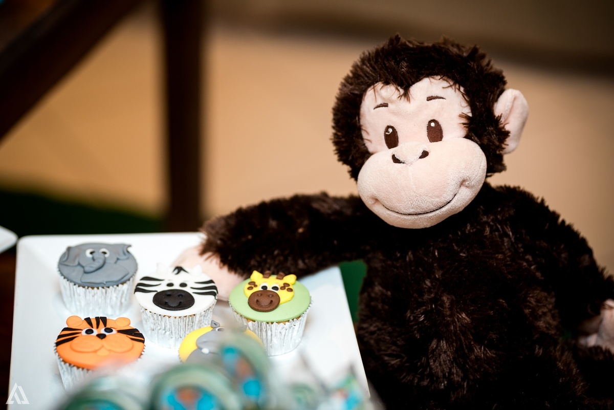 Aniversário Infantil Safari Alex Jardim Fotografia Fotógrafo Resende Itatiaia Penedo Porto Real Quatis Barra Mansa Volta Redonda Espaço Montana