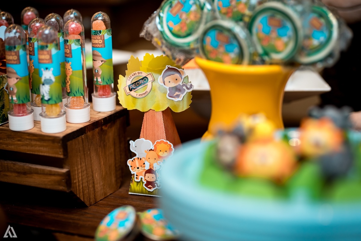 Aniversário Infantil Safari Alex Jardim Fotografia Fotógrafo Resende Itatiaia Penedo Porto Real Quatis Barra Mansa Volta Redonda Espaço Montana