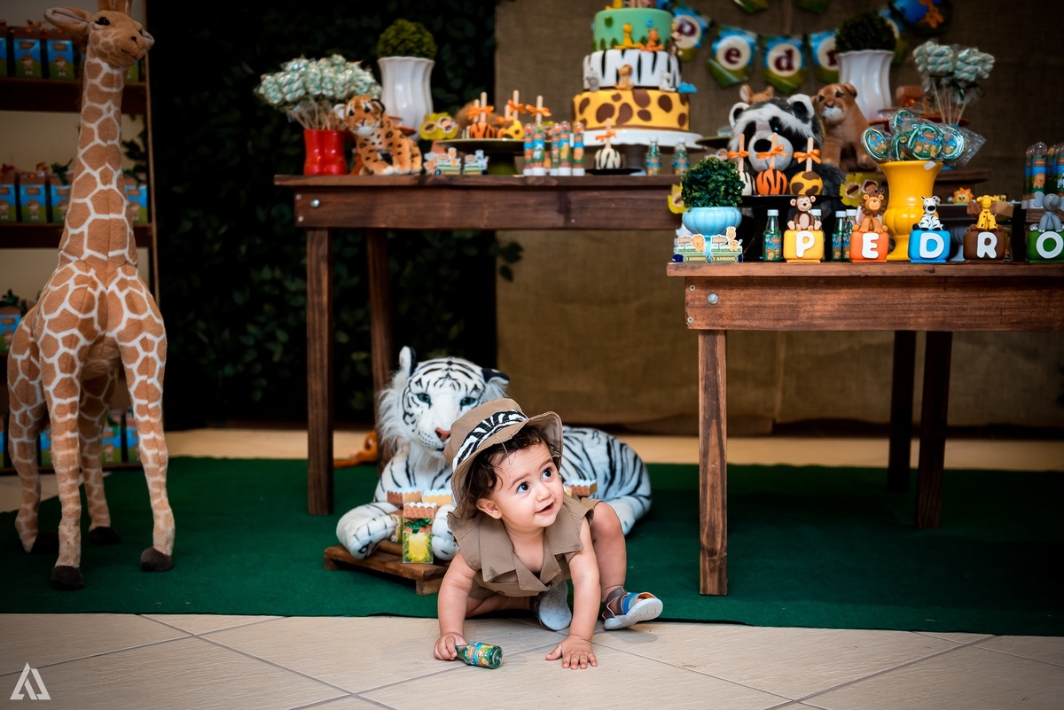Aniversário Infantil Safari Alex Jardim Fotografia Fotógrafo Resende Itatiaia Penedo Porto Real Quatis Barra Mansa Volta Redonda Espaço Montana