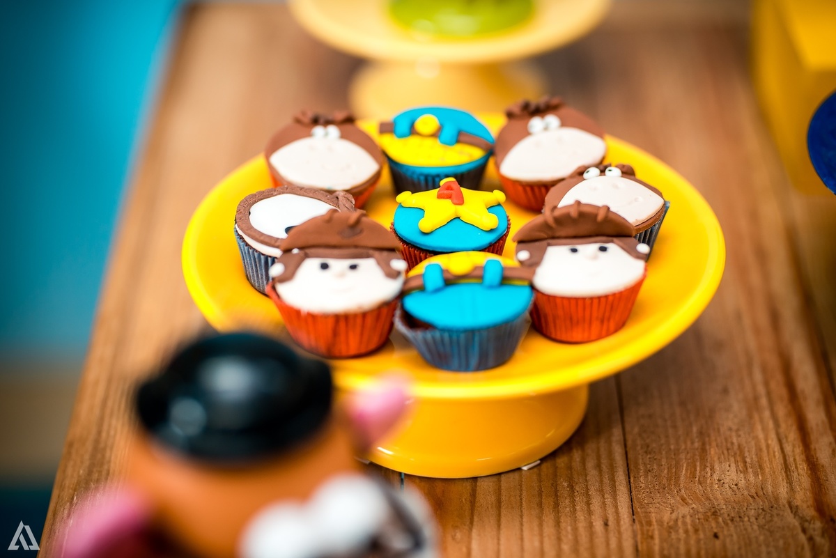 Aniversário Infantil Festa Escola Toy Story Alex Jardim Fotografia Fotógrafo Resende Itatiaia Penedo Porto Real Quatis Barra Mansa Volta Redonda Colégio Dom Bosco