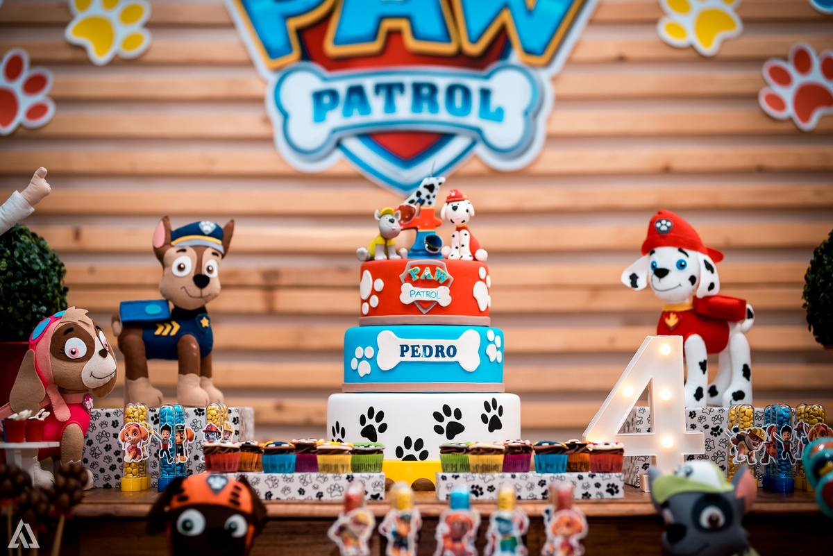 Aniversário Festa Infantil Paw Control Alex Jardim Fotografia Fotógrafo Resende Itatiaia Porto Real Quatis Barra Mansa Volta Redonda Buffet Pintou Alegria 