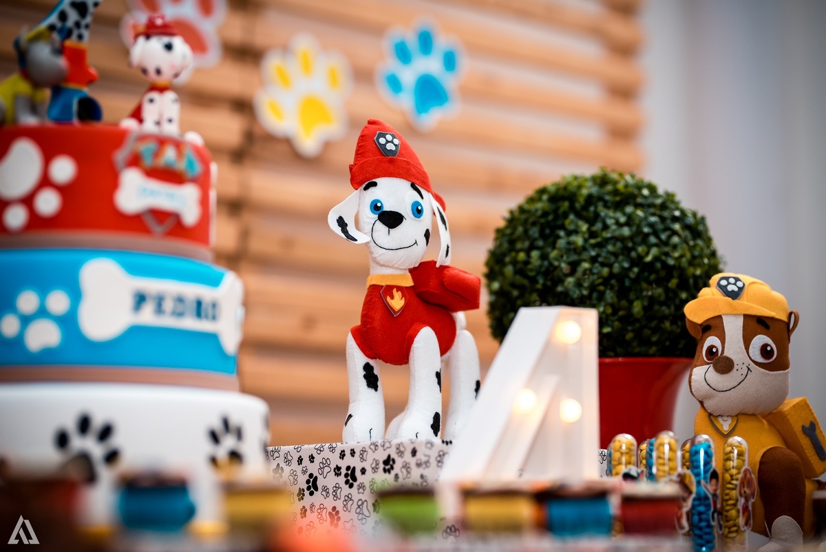 Aniversário Festa Infantil Paw Control Alex Jardim Fotografia Fotógrafo Resende Itatiaia Porto Real Quatis Barra Mansa Volta Redonda Buffet Pintou Alegria 