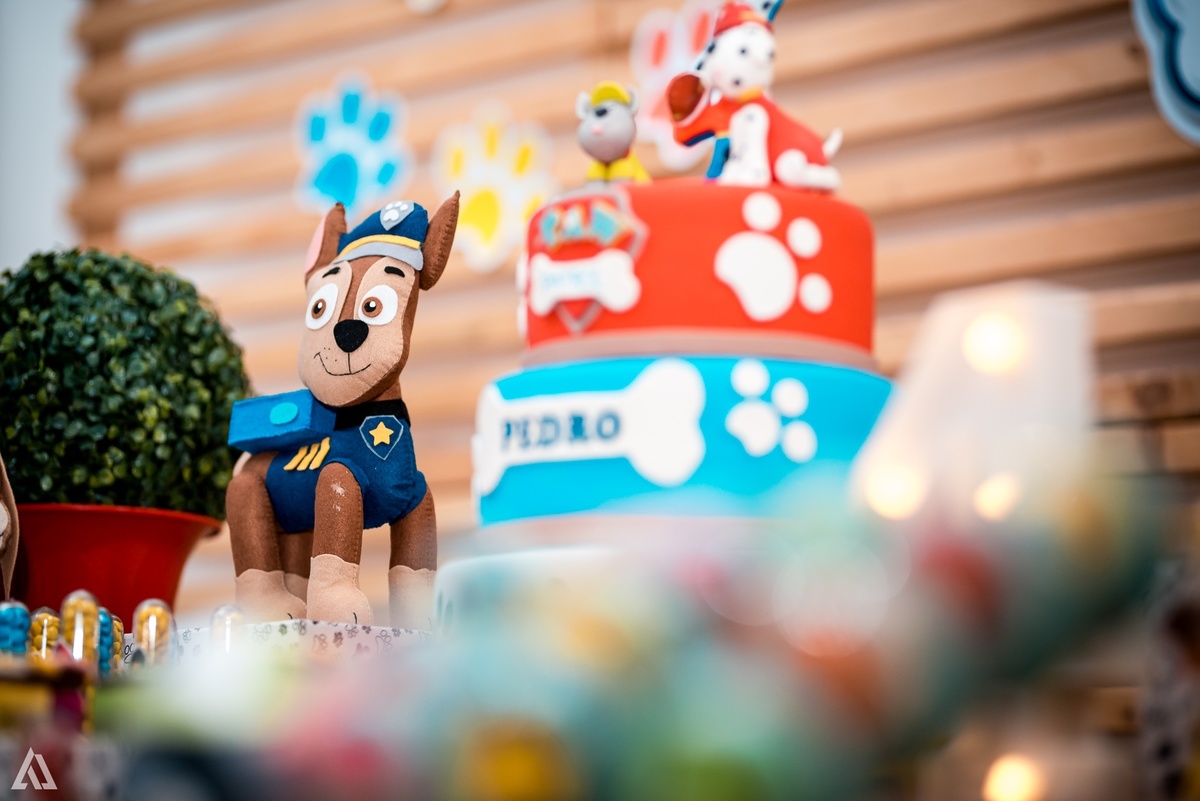 Aniversário Festa Infantil Paw Control Alex Jardim Fotografia Fotógrafo Resende Itatiaia Porto Real Quatis Barra Mansa Volta Redonda Buffet Pintou Alegria 