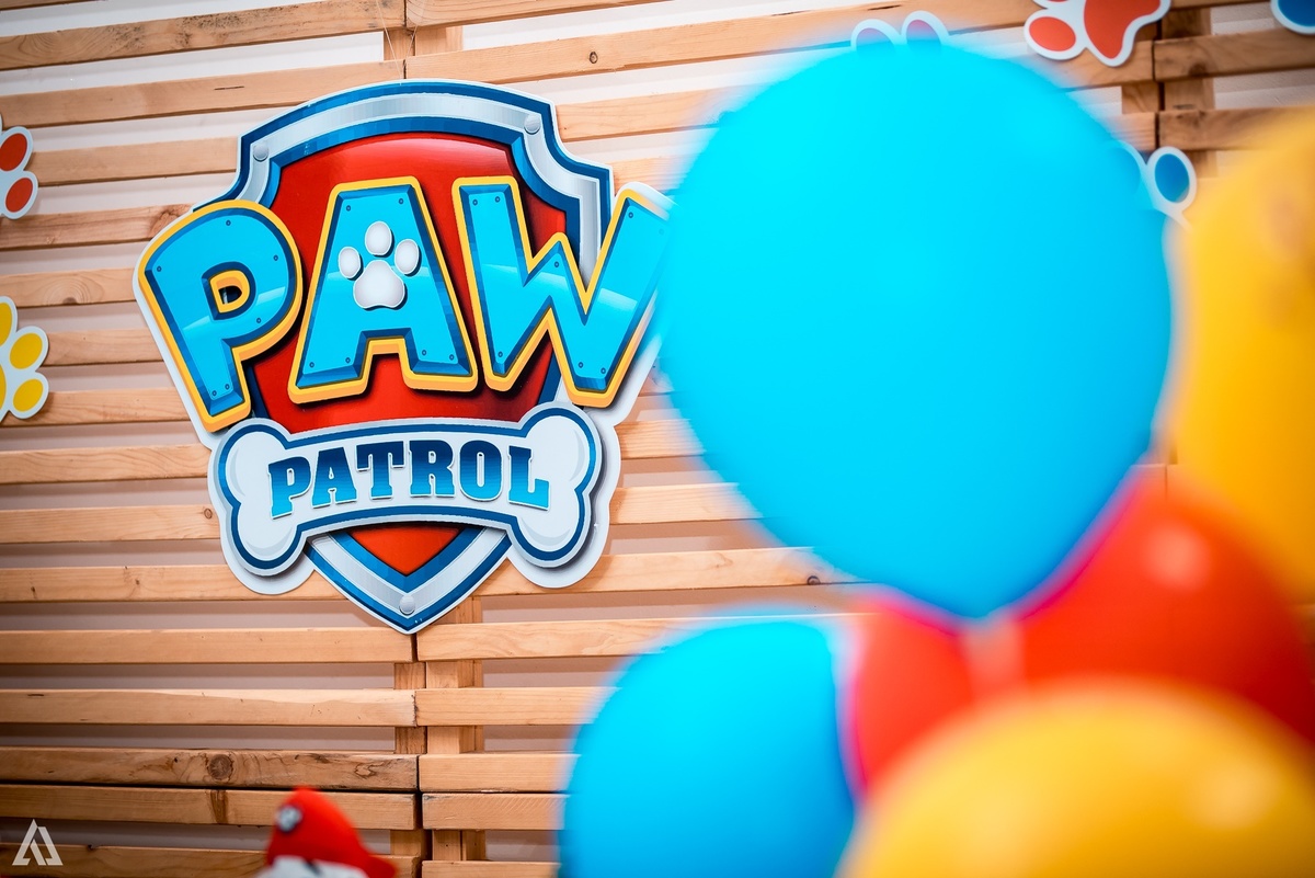 Aniversário Festa Infantil Paw Control Alex Jardim Fotografia Fotógrafo Resende Itatiaia Porto Real Quatis Barra Mansa Volta Redonda Buffet Pintou Alegria 