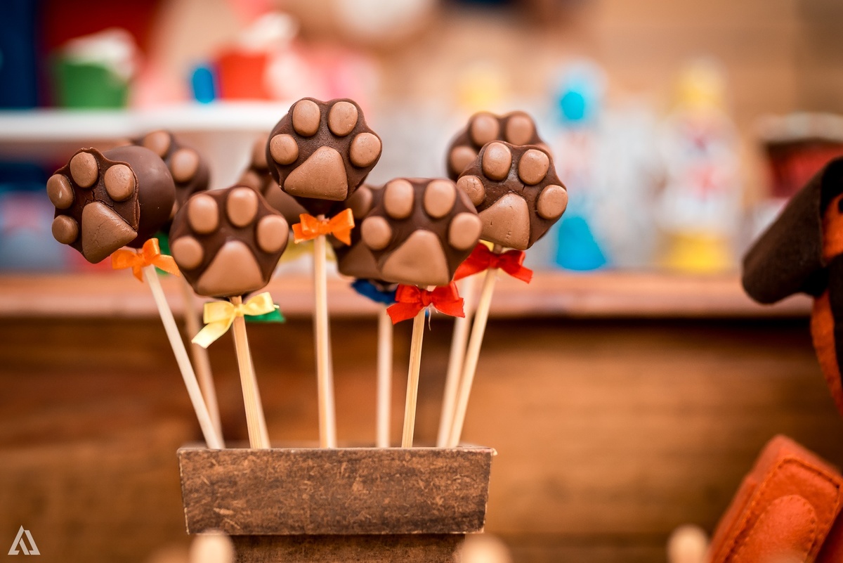 Aniversário Festa Infantil Paw Control Alex Jardim Fotografia Fotógrafo Resende Itatiaia Porto Real Quatis Barra Mansa Volta Redonda Buffet Pintou Alegria 