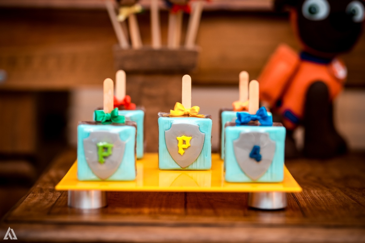 Aniversário Festa Infantil Paw Control Alex Jardim Fotografia Fotógrafo Resende Itatiaia Porto Real Quatis Barra Mansa Volta Redonda Buffet Pintou Alegria 