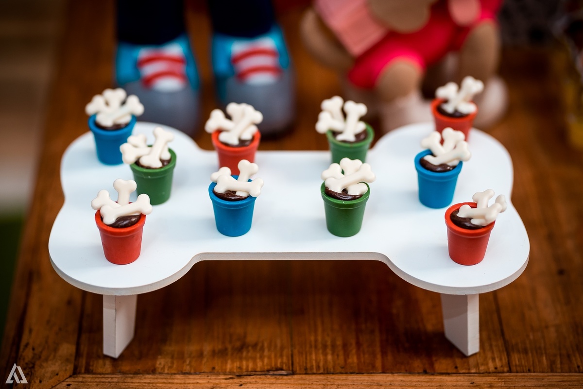 Aniversário Festa Infantil Paw Control Alex Jardim Fotografia Fotógrafo Resende Itatiaia Porto Real Quatis Barra Mansa Volta Redonda Buffet Pintou Alegria 