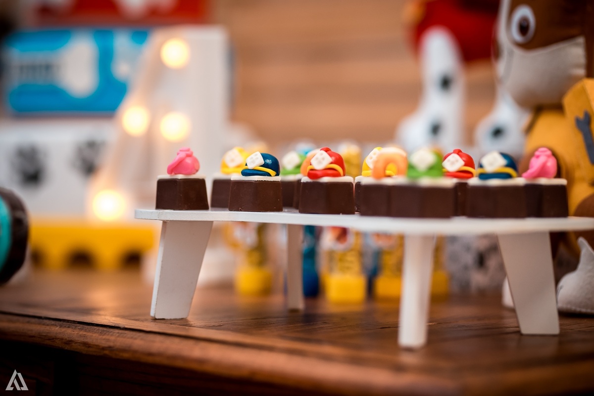 Aniversário Festa Infantil Paw Control Alex Jardim Fotografia Fotógrafo Resende Itatiaia Porto Real Quatis Barra Mansa Volta Redonda Buffet Pintou Alegria 