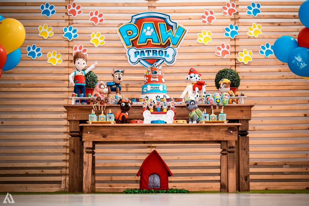 Aniversário Festa Infantil Paw Control Alex Jardim Fotografia Fotógrafo Resende Itatiaia Porto Real Quatis Barra Mansa Volta Redonda Buffet Pintou Alegria 