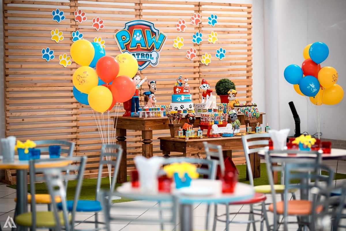 Aniversário Festa Infantil Paw Control Alex Jardim Fotografia Fotógrafo Resende Itatiaia Porto Real Quatis Barra Mansa Volta Redonda Buffet Pintou Alegria 