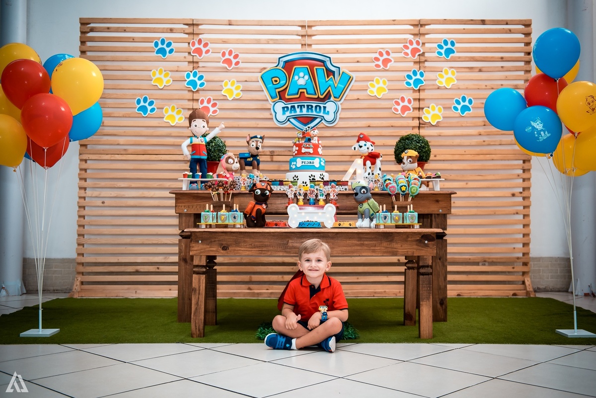 Aniversário Festa Infantil Paw Control Alex Jardim Fotografia Fotógrafo Resende Itatiaia Porto Real Quatis Barra Mansa Volta Redonda Buffet Pintou Alegria 