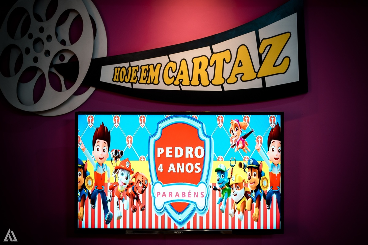 Aniversário Festa Infantil Paw Control Alex Jardim Fotografia Fotógrafo Resende Itatiaia Porto Real Quatis Barra Mansa Volta Redonda Buffet Pintou Alegria 