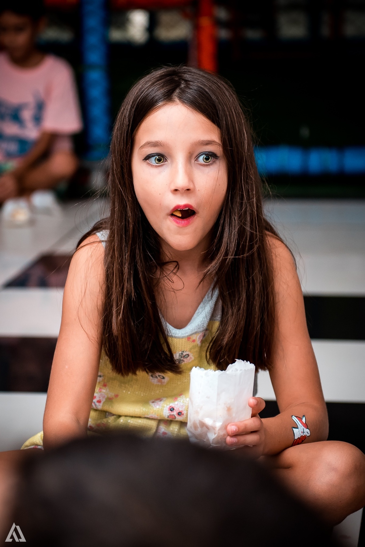 Aniversário Festa Infantil Paw Control Alex Jardim Fotografia Fotógrafo Resende Itatiaia Porto Real Quatis Barra Mansa Volta Redonda Buffet Pintou Alegria 