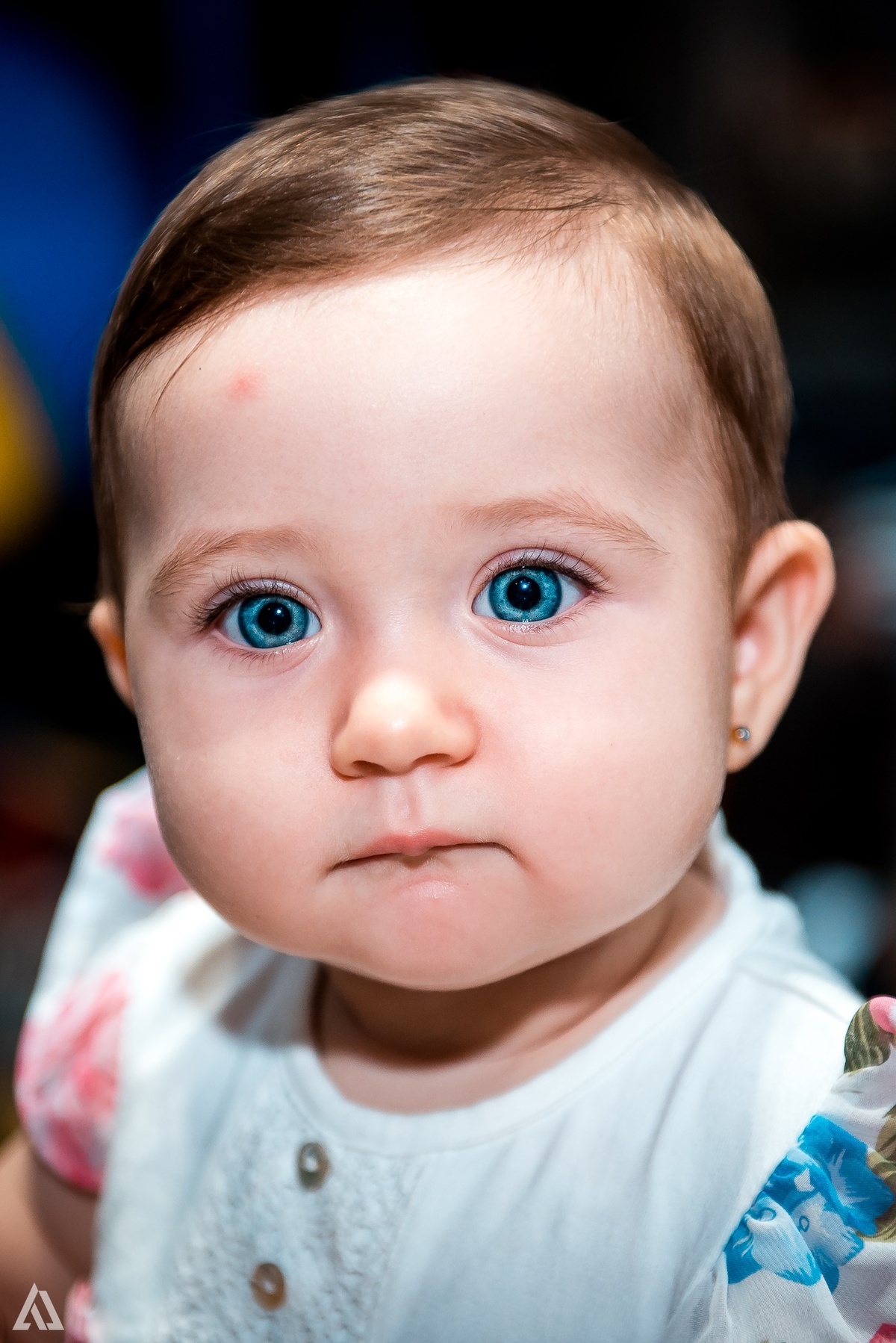 Aniversário Festa Infantil Paw Control Alex Jardim Fotografia Fotógrafo Resende Itatiaia Porto Real Quatis Barra Mansa Volta Redonda Buffet Pintou Alegria 