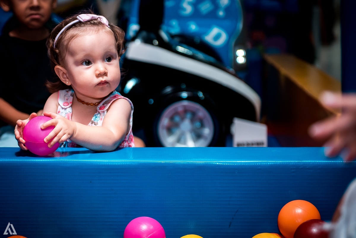 Aniversário Festa Infantil Paw Control Alex Jardim Fotografia Fotógrafo Resende Itatiaia Porto Real Quatis Barra Mansa Volta Redonda Buffet Pintou Alegria 