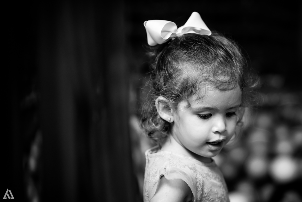 Aniversário Infantil Festa Turma da Mônica Alex Jardim Fotografia Fotógrafo Resende Itatiaia Penedo Porto Real Quatis Barra Mansa Volta Redonda Buffet Pintou Alegria