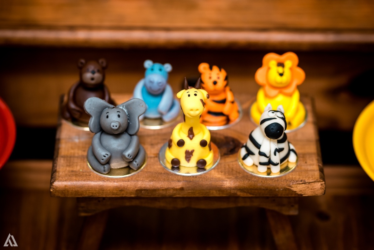 Aniversário Infantil Festa Safari Alex Jardim Fotografia Fotógrafo Resende Itatiaia Penedo Porto Real Quatis Barra Mansa Volta Redonda 