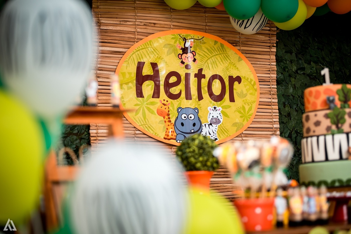 Aniversário Infantil Festa Safari Alex Jardim Fotografia Fotógrafo Resende Itatiaia Penedo Porto Real Quatis Barra Mansa Volta Redonda 