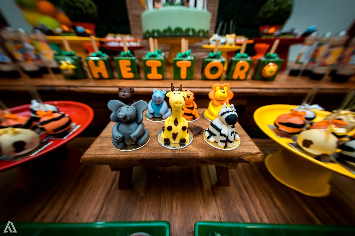 Aniversário Infantil Festa Safari Alex Jardim Fotografia Fotógrafo Resende Itatiaia Penedo Porto Real Quatis Barra Mansa Volta Redonda 