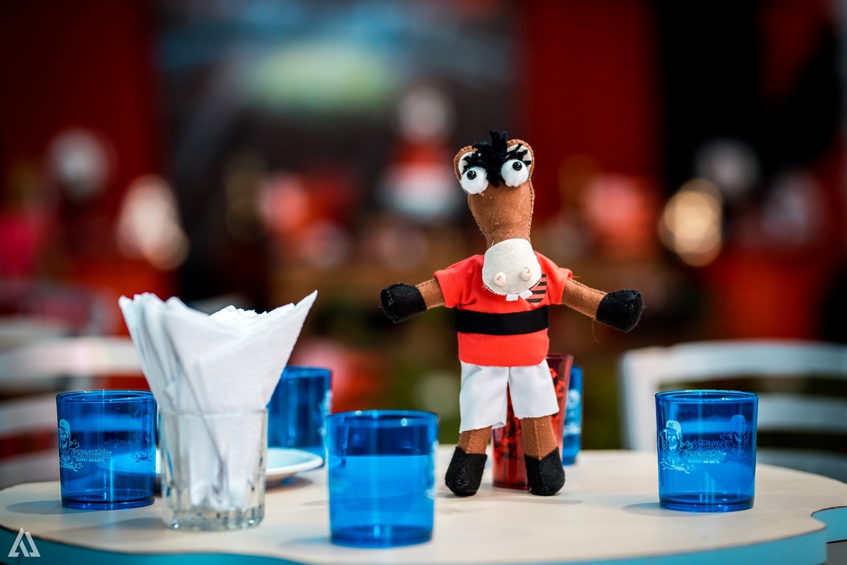 Aniversário Infantil Festa Flamengo Alex Jardim Fotografia Fotógrafo Resende Itatiaia Penedo Porto Real Quatis Barra Mansa Volta Redonda Buffet Pintou Alegria