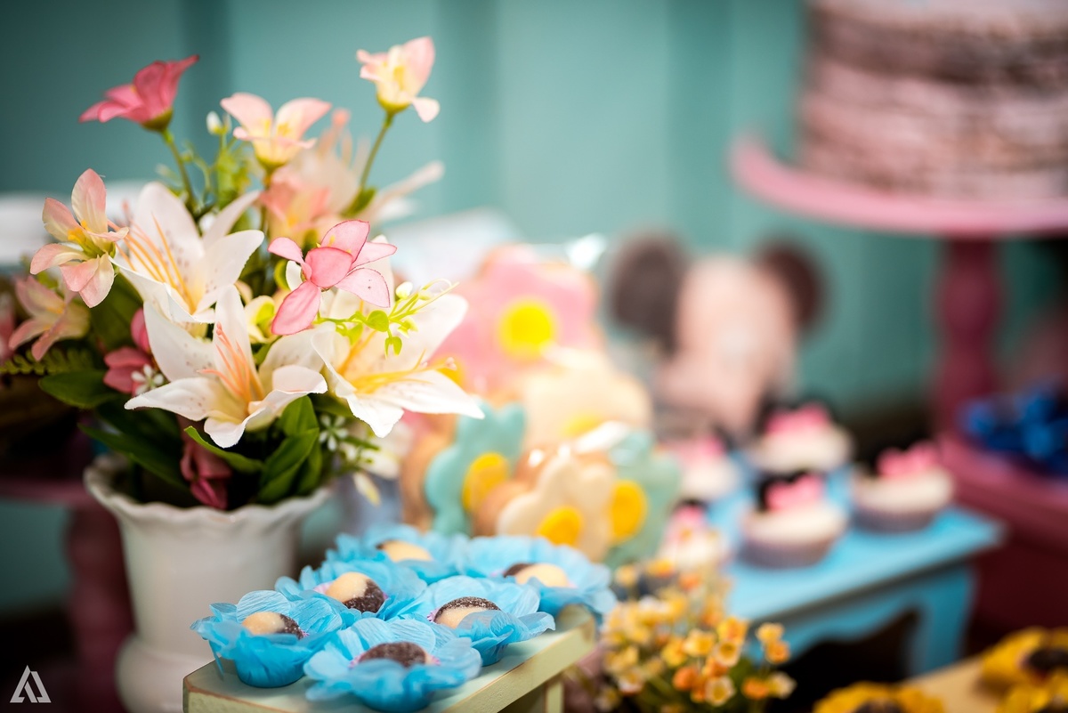 Aniversário Infantil Festa Escola Minie Alex Jardim Fotografia Fotógrafo Resende Itatiaia Penedo Porto Real Quatis Barra Mansa Volta Redonda Colégio Dom Bosco