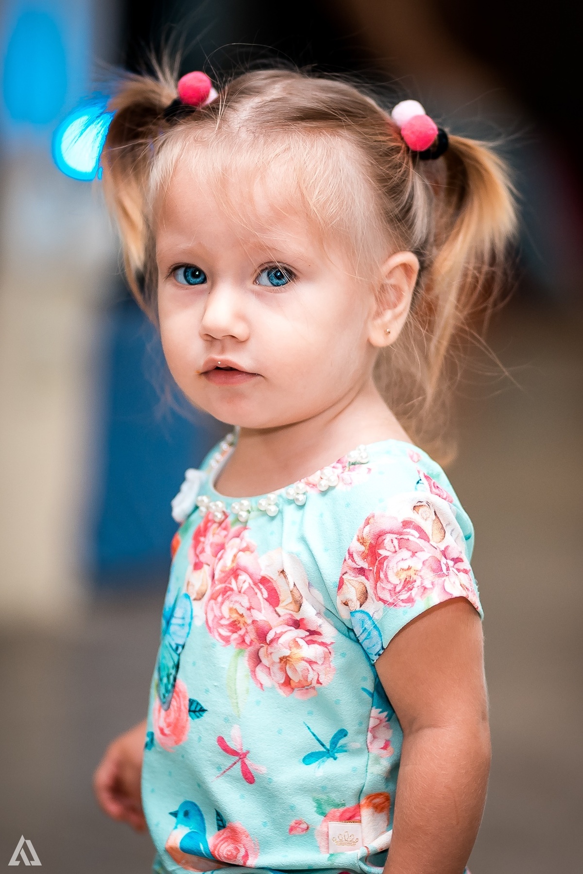 Aniversário Infantil Festa Alex Jardim Fotografia Fotógrafo Resende Itatiaia Penedo Porto Real Quatis Barra Mansa Volta Redonda Liana`s Festa