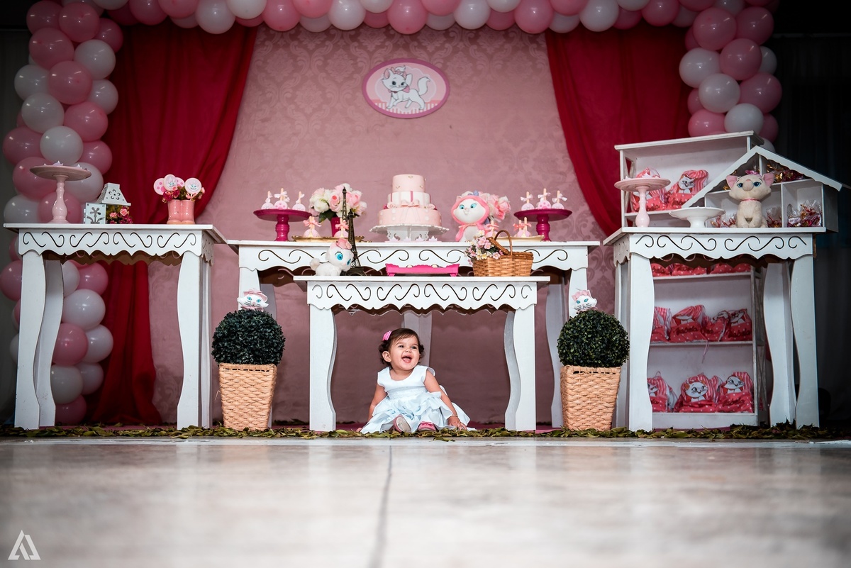 Aniversário Infantil Festa Alex Jardim Fotografia Fotógrafo Resende Itatiaia Penedo Porto Real Quatis Barra Mansa Volta Redonda Liana`s Festa