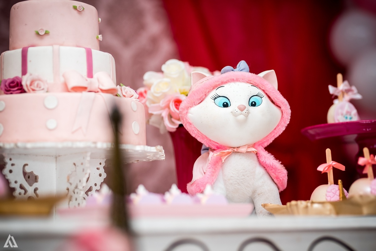 Aniversário Infantil Festa Alex Jardim Fotografia Fotógrafo Resende Itatiaia Penedo Porto Real Quatis Barra Mansa Volta Redonda Liana`s Festa