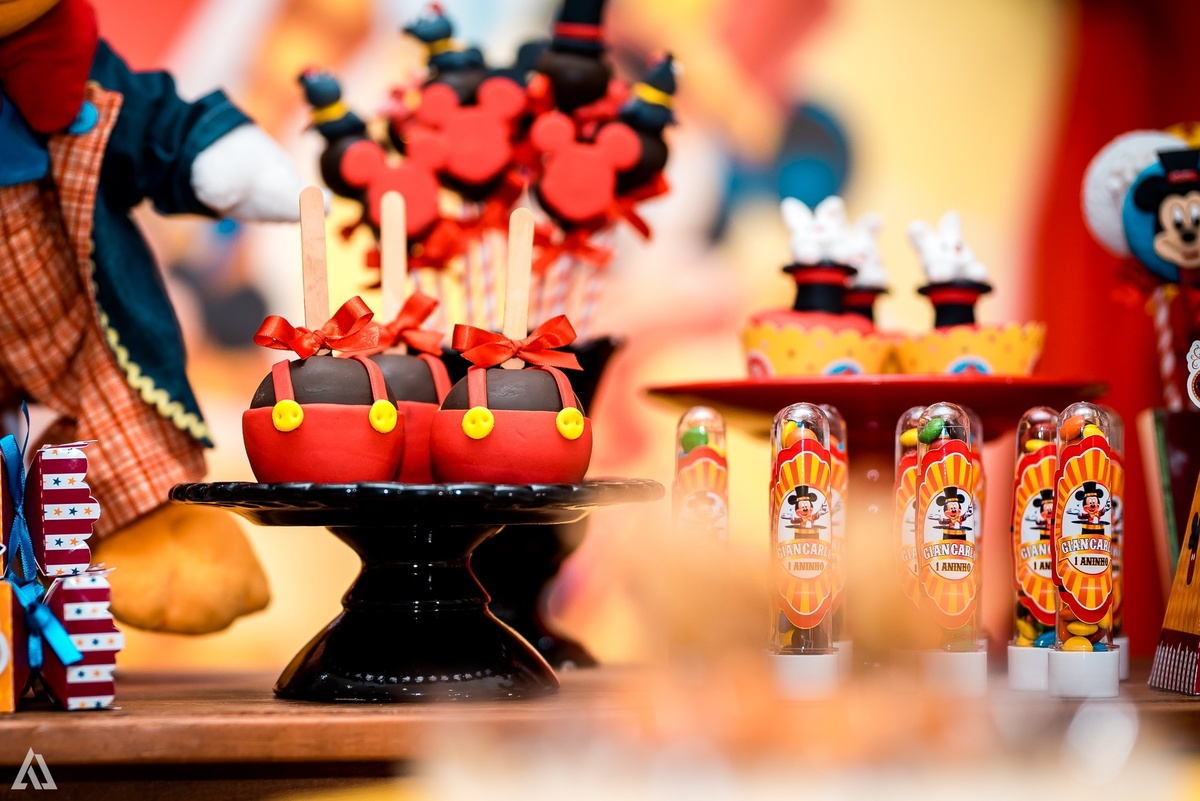 Aniversário Infantil Festa Alex Jardim Fotografia Fotógrafo Resende Itatiaia Penedo Porto Real Quatis Barra Mansa Volta Redonda Pula Pula Kids