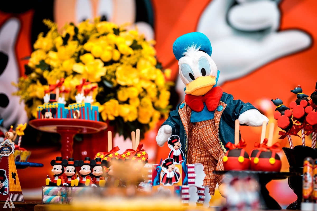 Aniversário Infantil Festa Alex Jardim Fotografia Fotógrafo Resende Itatiaia Penedo Porto Real Quatis Barra Mansa Volta Redonda Pula Pula Kids