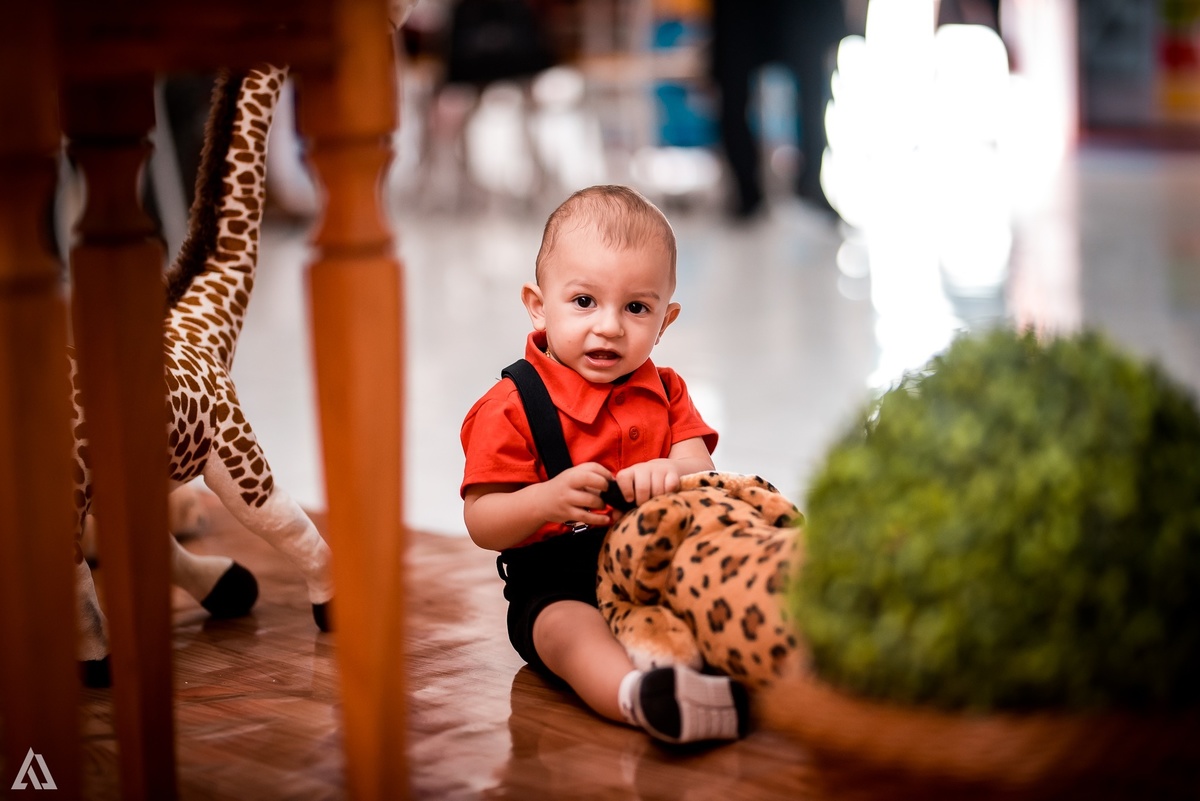Aniversário Infantil Festa Alex Jardim Fotografia Fotógrafo Resende Itatiaia Penedo Porto Real Quatis Barra Mansa Volta Redonda Pula Pula Kids