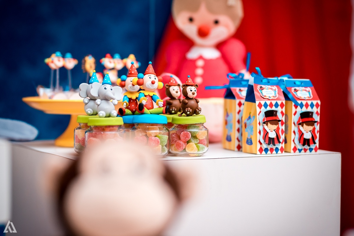 Aniversário Infantil Festa Alex Jardim Fotografia Fotógrafo Resende Itatiaia Penedo Porto Real Quatis Barra Mansa Volta Redonda Buffet Pintou Alegria