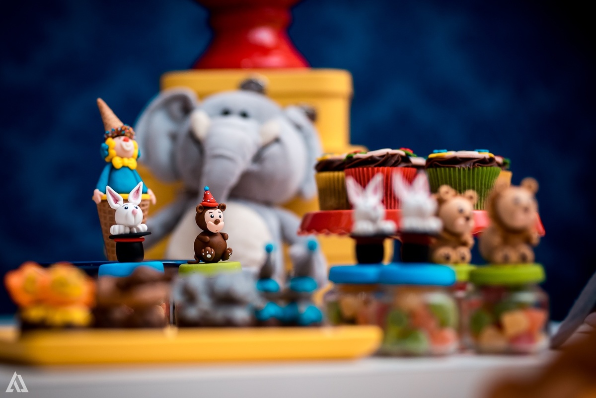 Aniversário Infantil Festa Alex Jardim Fotografia Fotógrafo Resende Itatiaia Penedo Porto Real Quatis Barra Mansa Volta Redonda Buffet Pintou Alegria