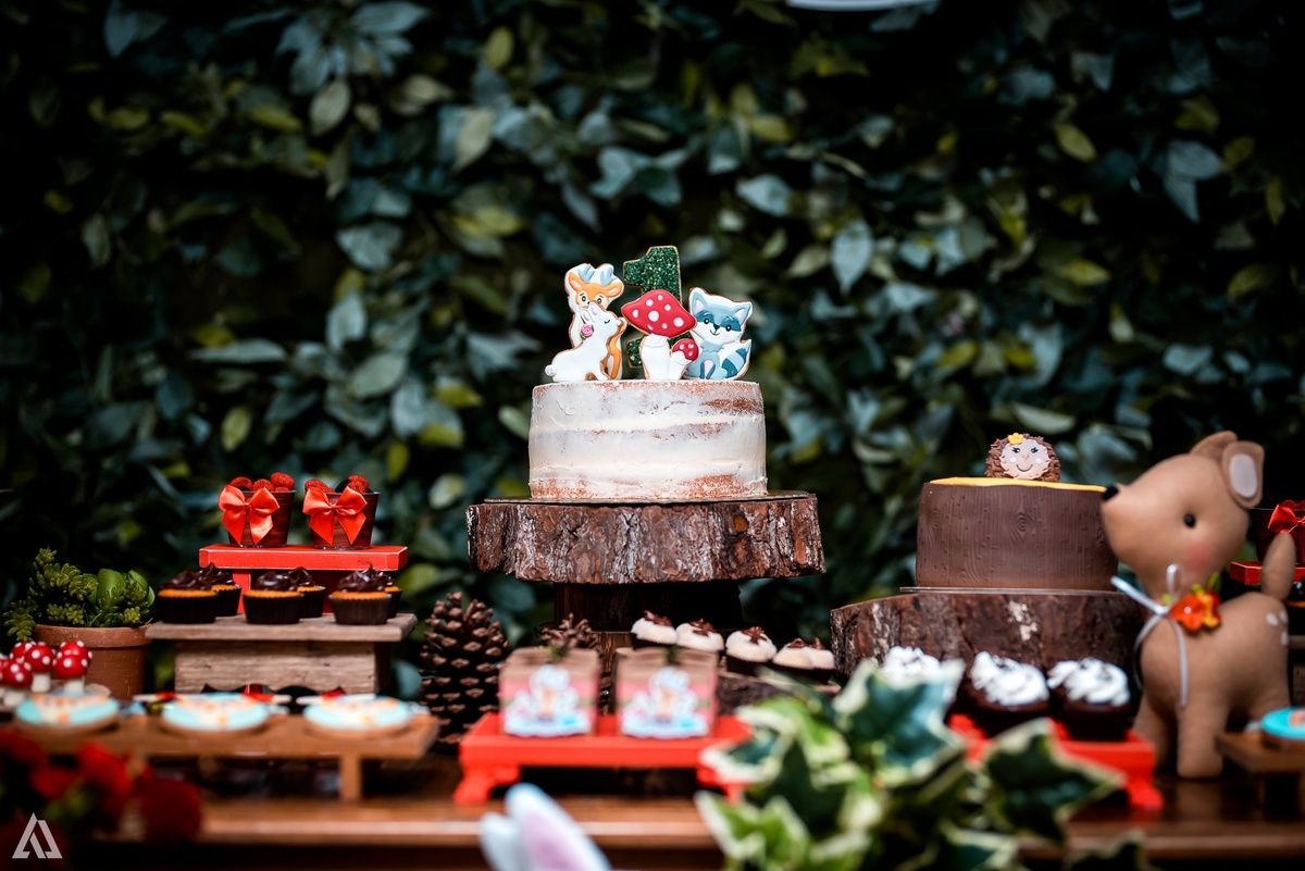 Aniversário Infantil Festa Alex Jardim Fotografia Fotógrafo Resende Itatiaia Penedo Porto Real Quatis Barra Mansa Volta Redonda 