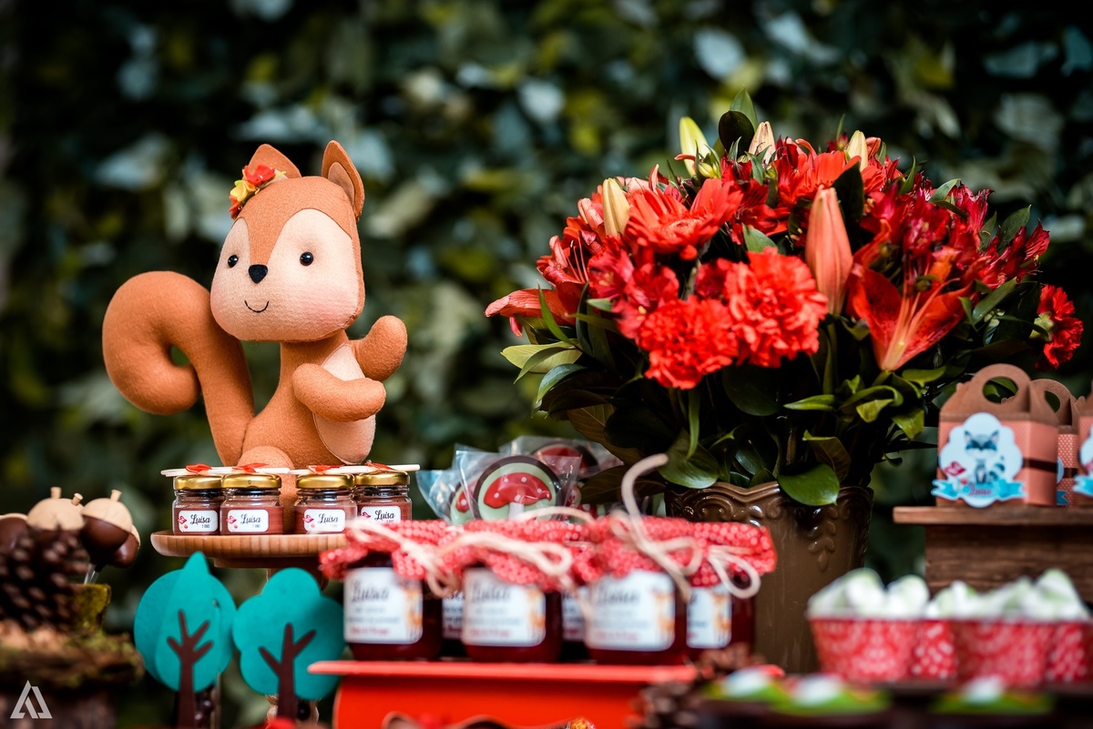 Aniversário Infantil Festa Alex Jardim Fotografia Fotógrafo Resende Itatiaia Penedo Porto Real Quatis Barra Mansa Volta Redonda