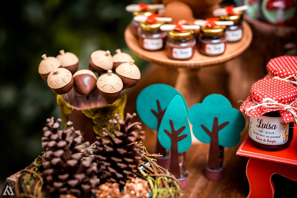 Aniversário Infantil Festa Alex Jardim Fotografia Fotógrafo Resende Itatiaia Penedo Porto Real Quatis Barra Mansa Volta Redonda