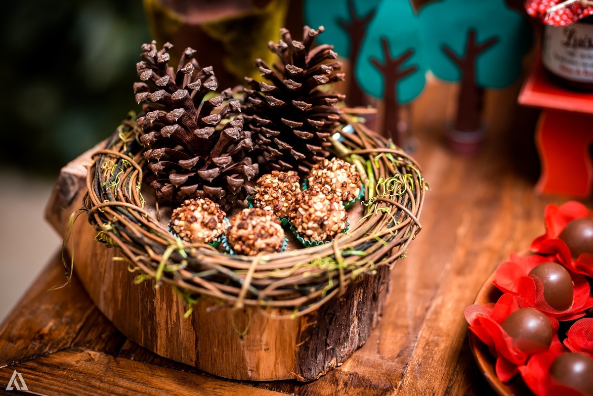 Aniversário Infantil Festa Alex Jardim Fotografia Fotógrafo Resende Itatiaia Penedo Porto Real Quatis Barra Mansa Volta Redonda