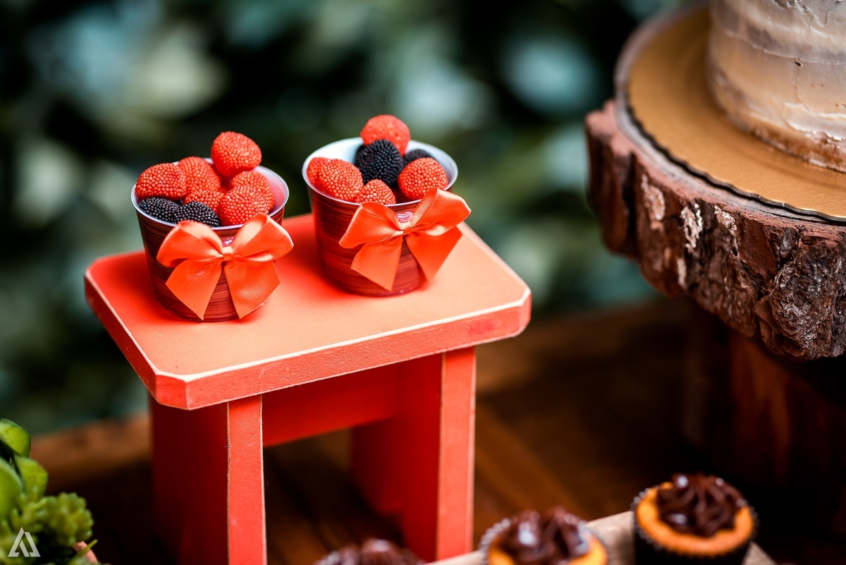 Aniversário Infantil Festa Alex Jardim Fotografia Fotógrafo Resende Itatiaia Penedo Porto Real Quatis Barra Mansa Volta Redonda