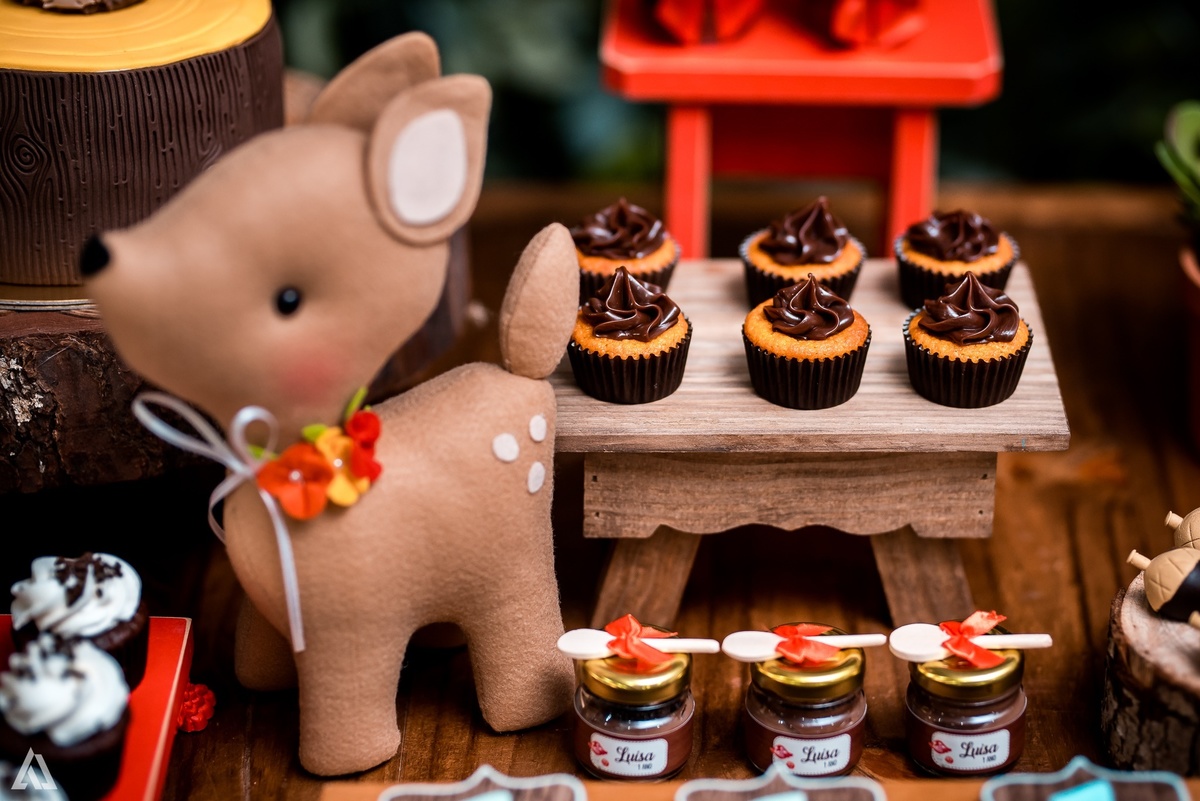 Aniversário Infantil Festa Alex Jardim Fotografia Fotógrafo Resende Itatiaia Penedo Porto Real Quatis Barra Mansa Volta Redonda