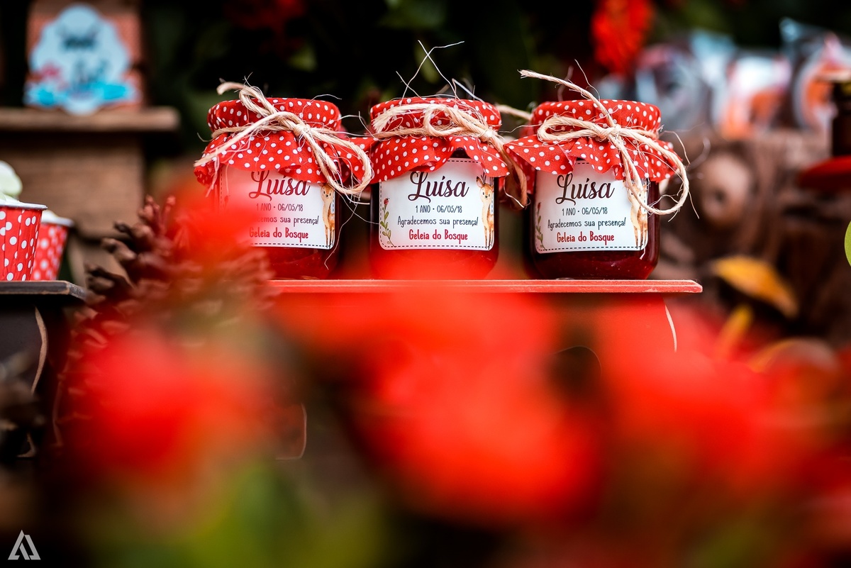 Aniversário Infantil Festa Alex Jardim Fotografia Fotógrafo Resende Itatiaia Penedo Porto Real Quatis Barra Mansa Volta Redonda