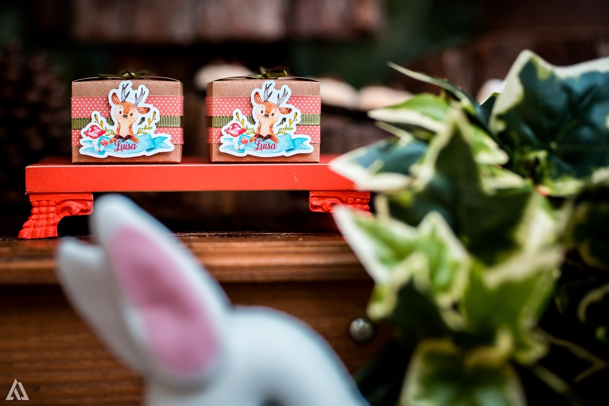 Aniversário Infantil Festa Alex Jardim Fotografia Fotógrafo Resende Itatiaia Penedo Porto Real Quatis Barra Mansa Volta Redonda