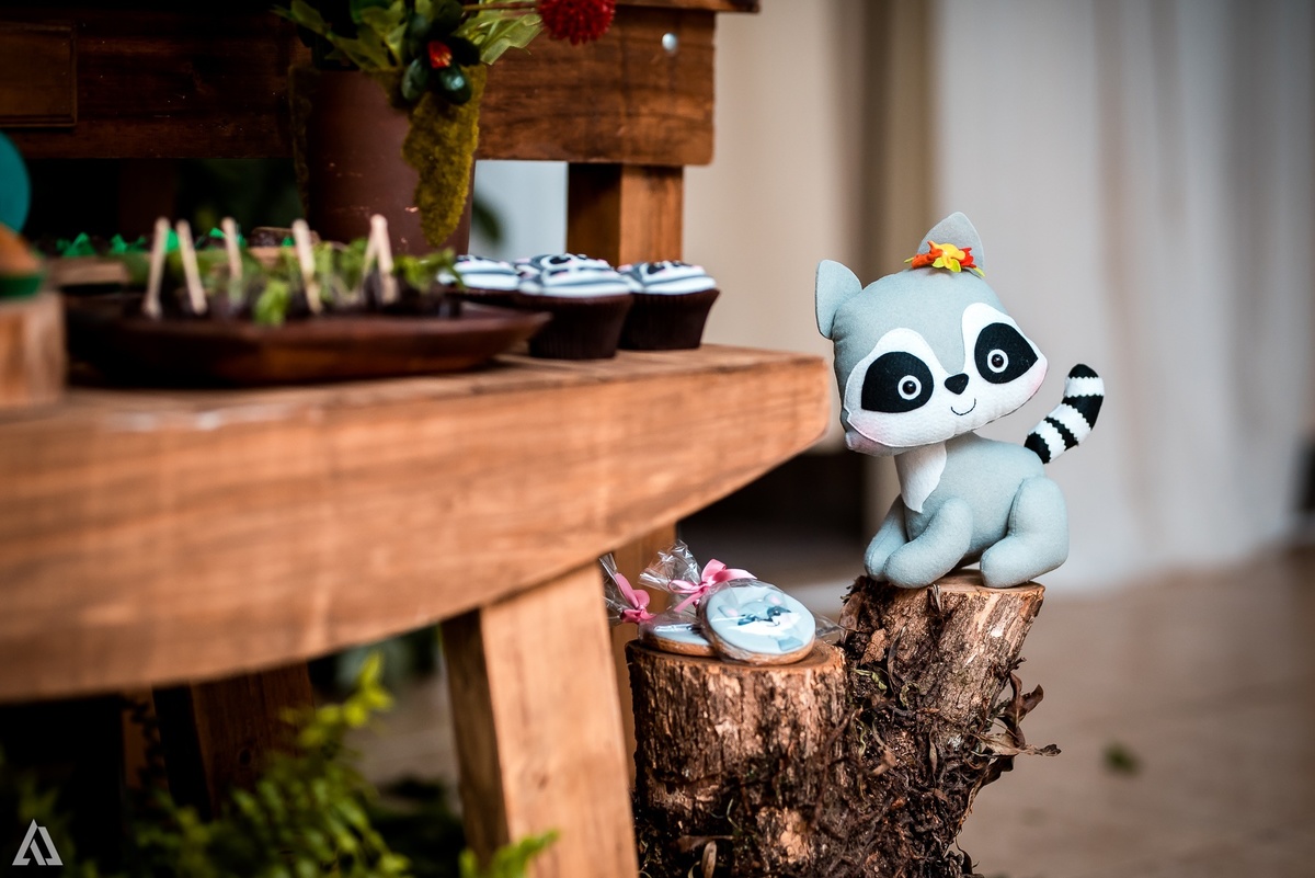 Aniversário Infantil Festa Alex Jardim Fotografia Fotógrafo Resende Itatiaia Penedo Porto Real Quatis Barra Mansa Volta Redonda