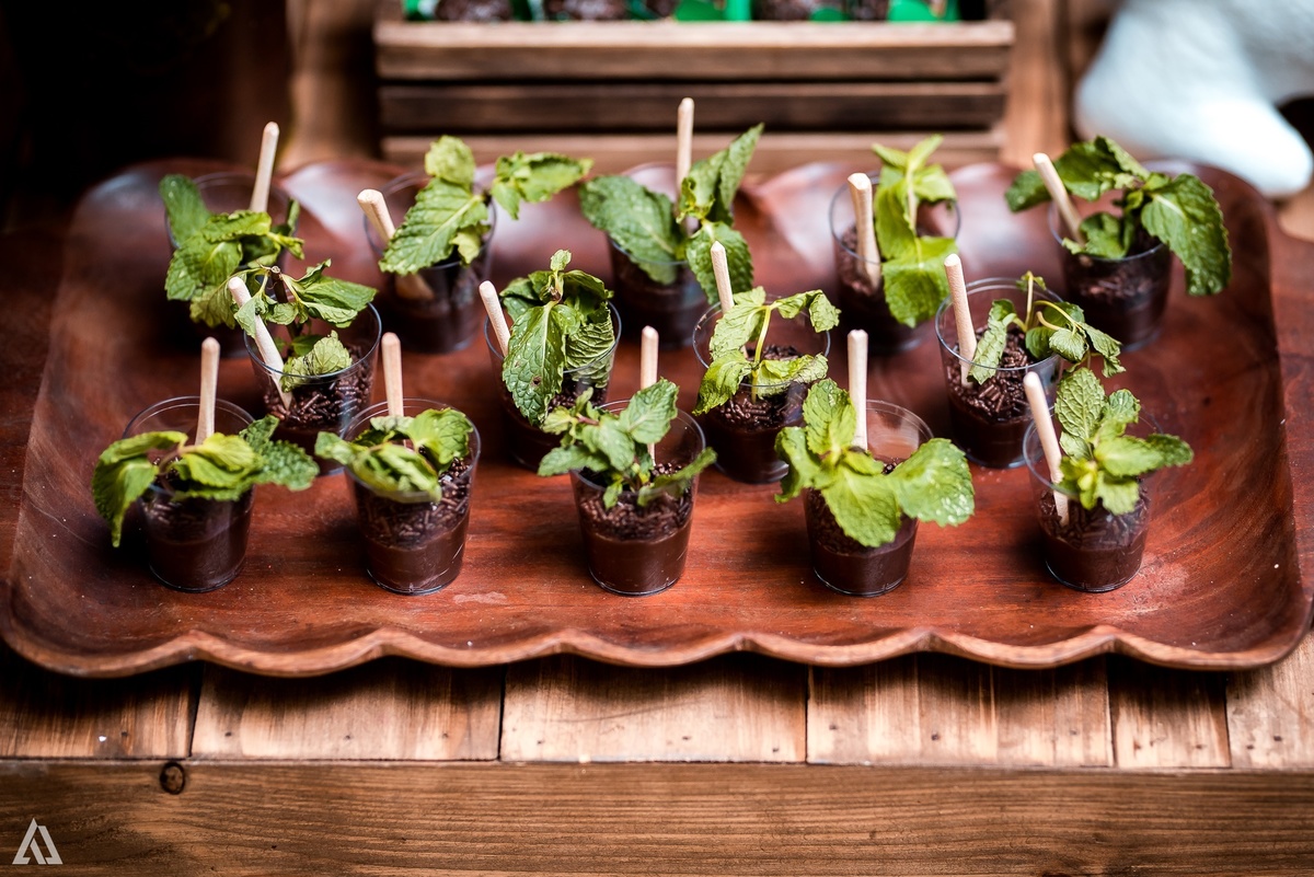 Aniversário Infantil Festa Alex Jardim Fotografia Fotógrafo Resende Itatiaia Penedo Porto Real Quatis Barra Mansa Volta Redonda