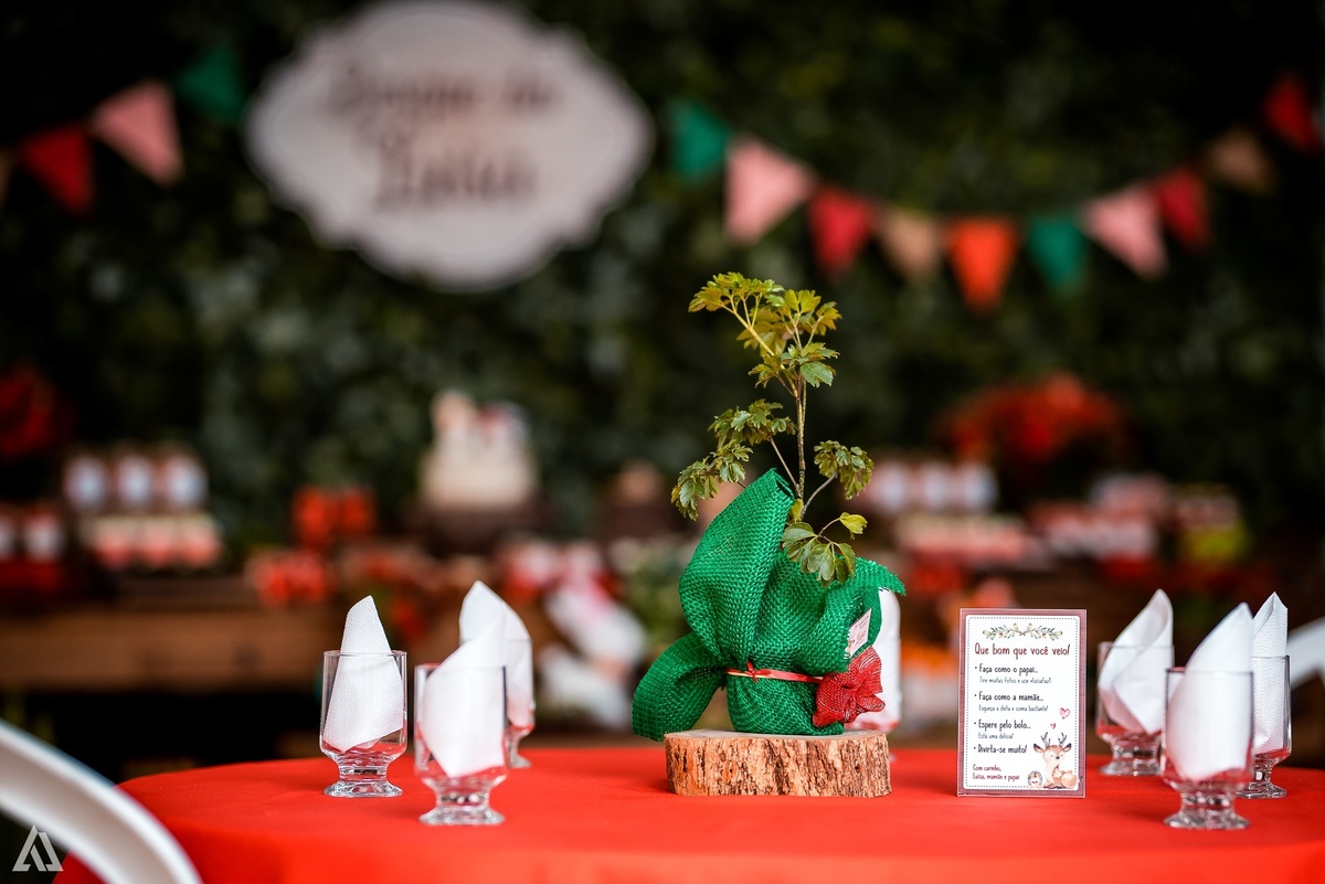 Aniversário Infantil Festa Alex Jardim Fotografia Fotógrafo Resende Itatiaia Penedo Porto Real Quatis Barra Mansa Volta Redonda